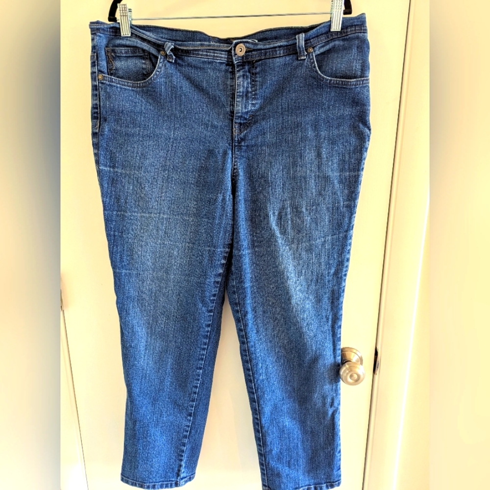 Style & Co. Stretchy Denim blue jeans, size 16WP